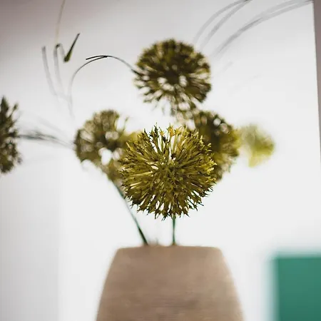 Apartment Evergreen *