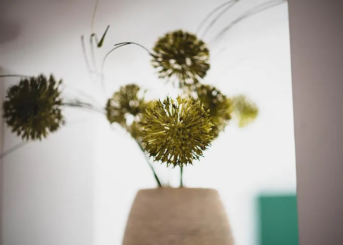 Apartment Evergreen *